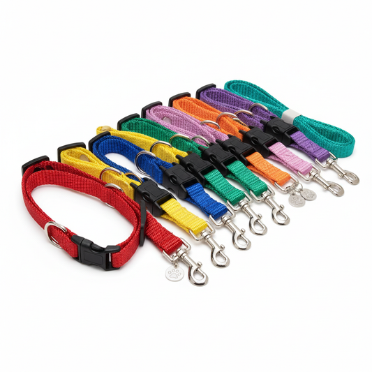 Colorful adjustable pet collars and leashes set for dogs and cats
